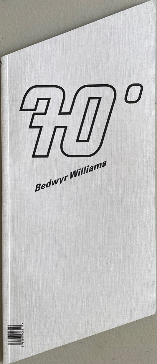 Bedwyr Williams: ECHT / Hotel 70'