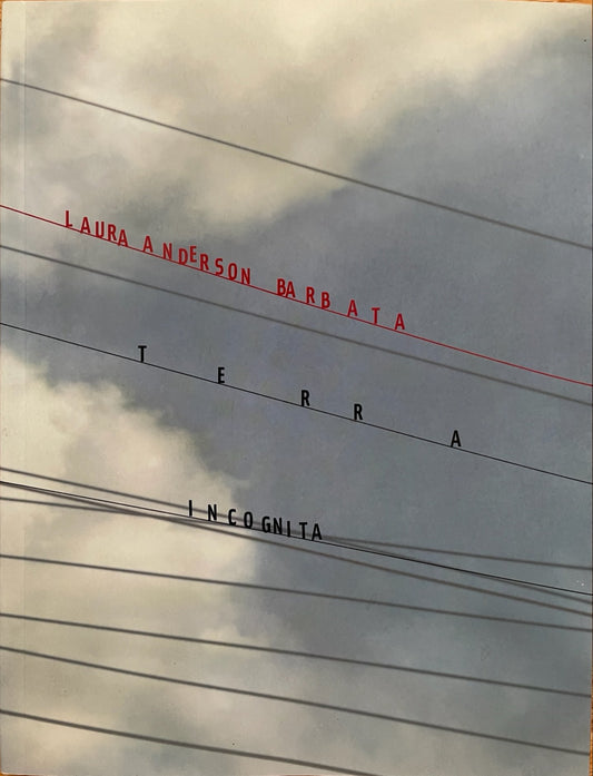 Laura Anderson Barbata: Terra Incognita -- Social Interventions Project