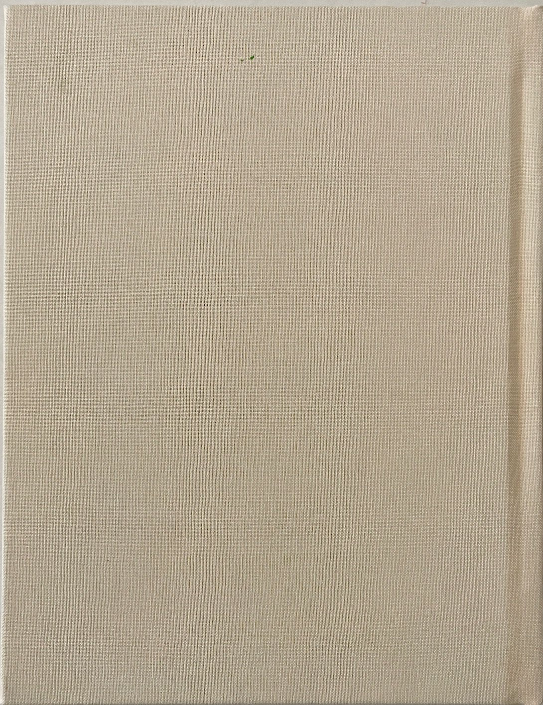 Ellen Berkenblit: Lines [original painting on cover]