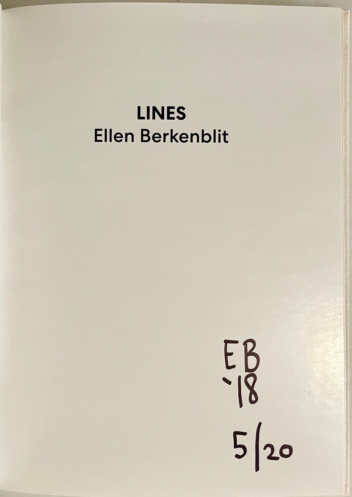 Ellen Berkenblit: Lines [original painting on cover]