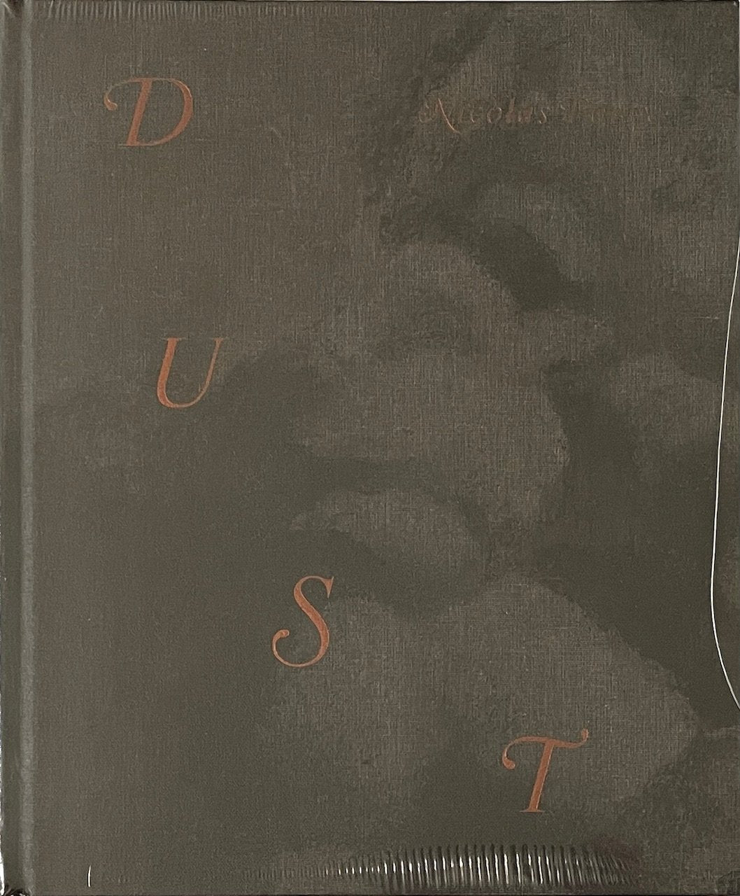 Nicolas Party: Dust