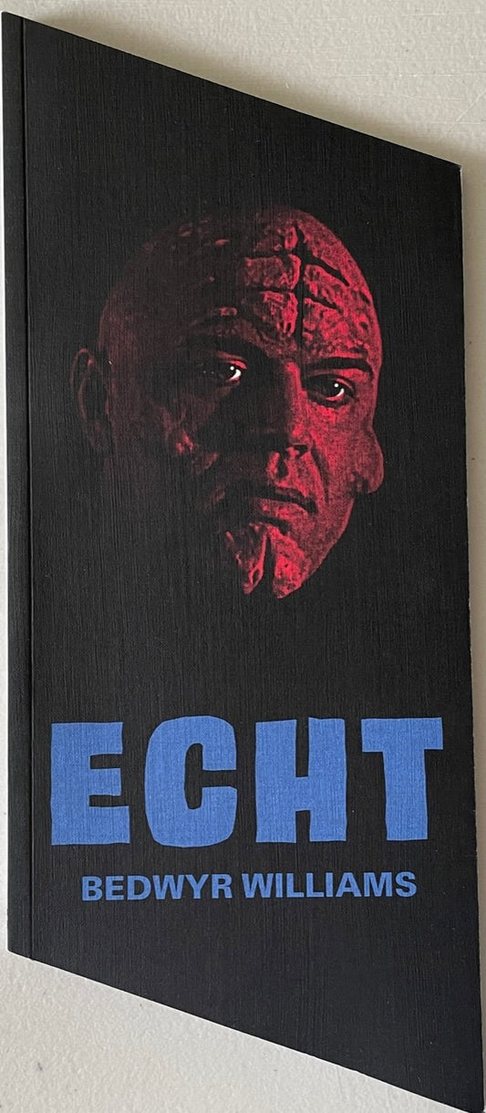 Bedwyr Williams: ECHT / Hotel 70'