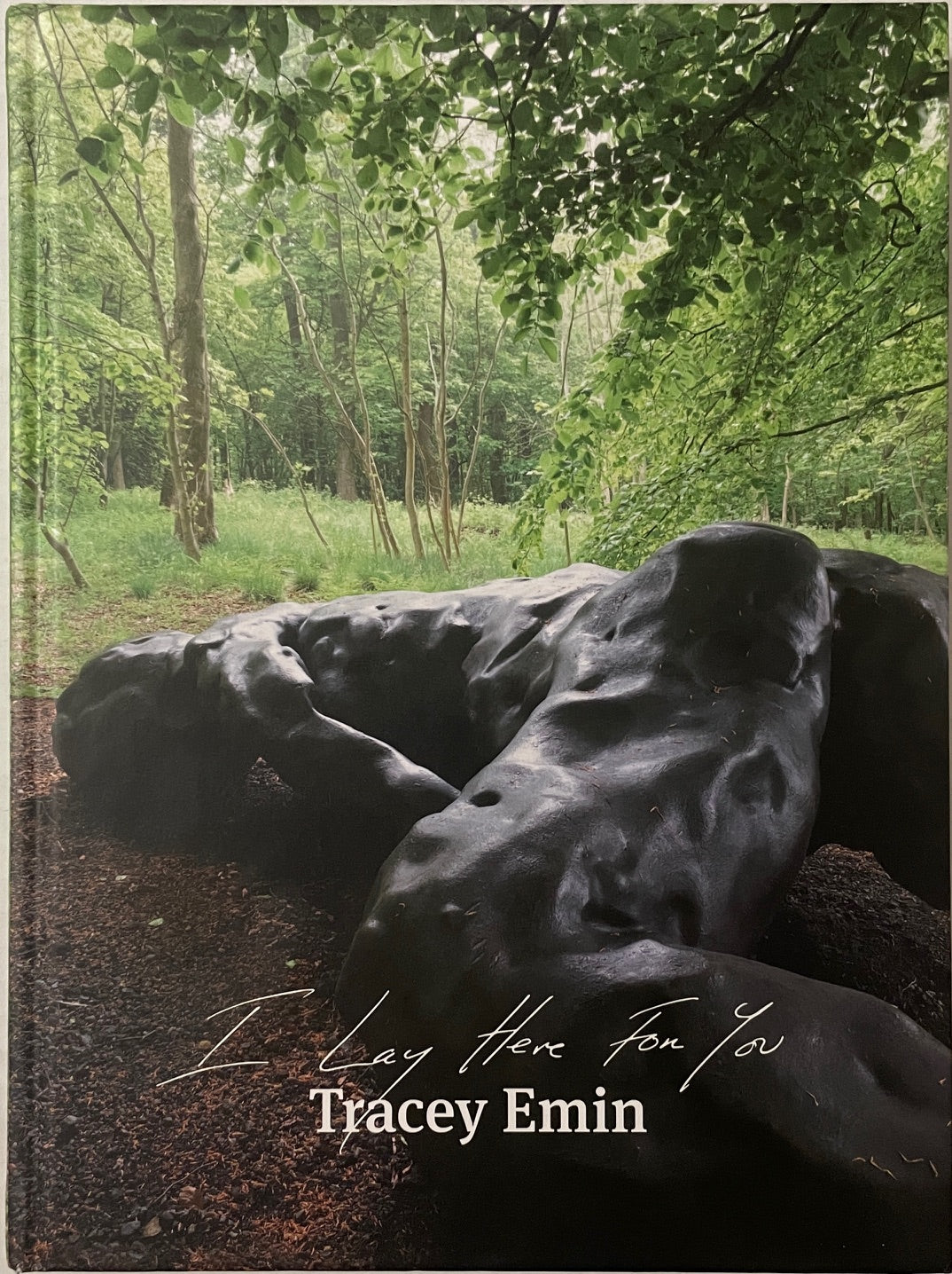 Tracey Emin: I Lay Here For You