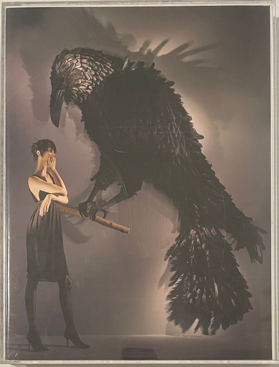 Lynn Goldsmith: The Looking Glass [signed + print]