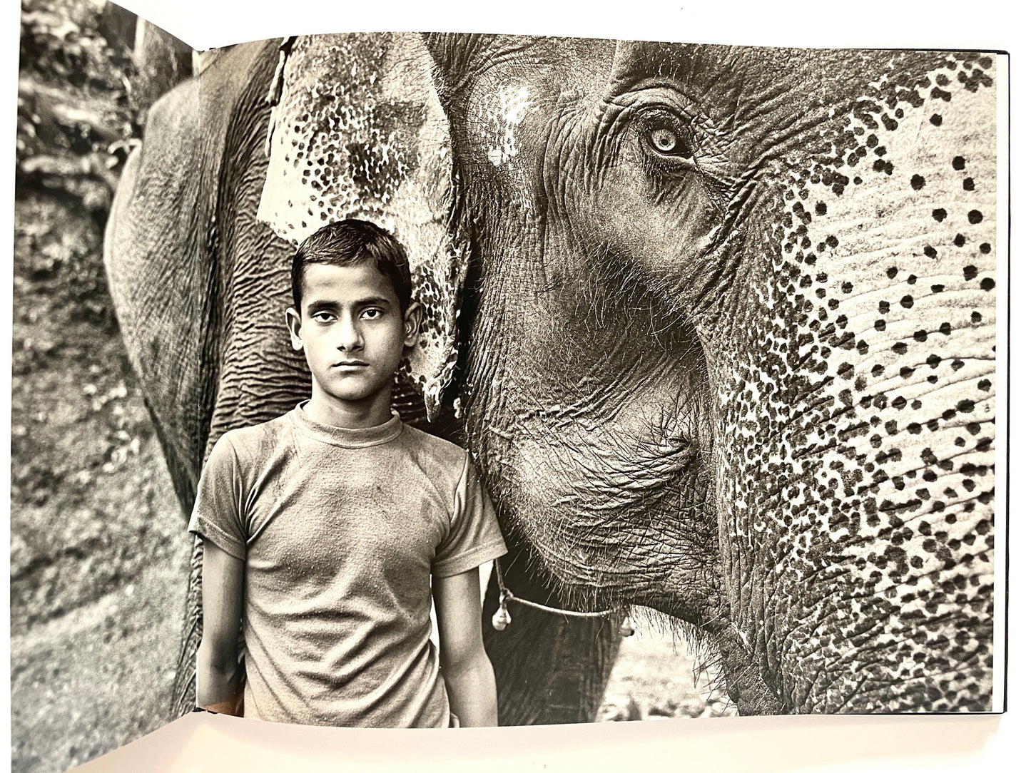 Craig Semetko: India Unposed [signed]