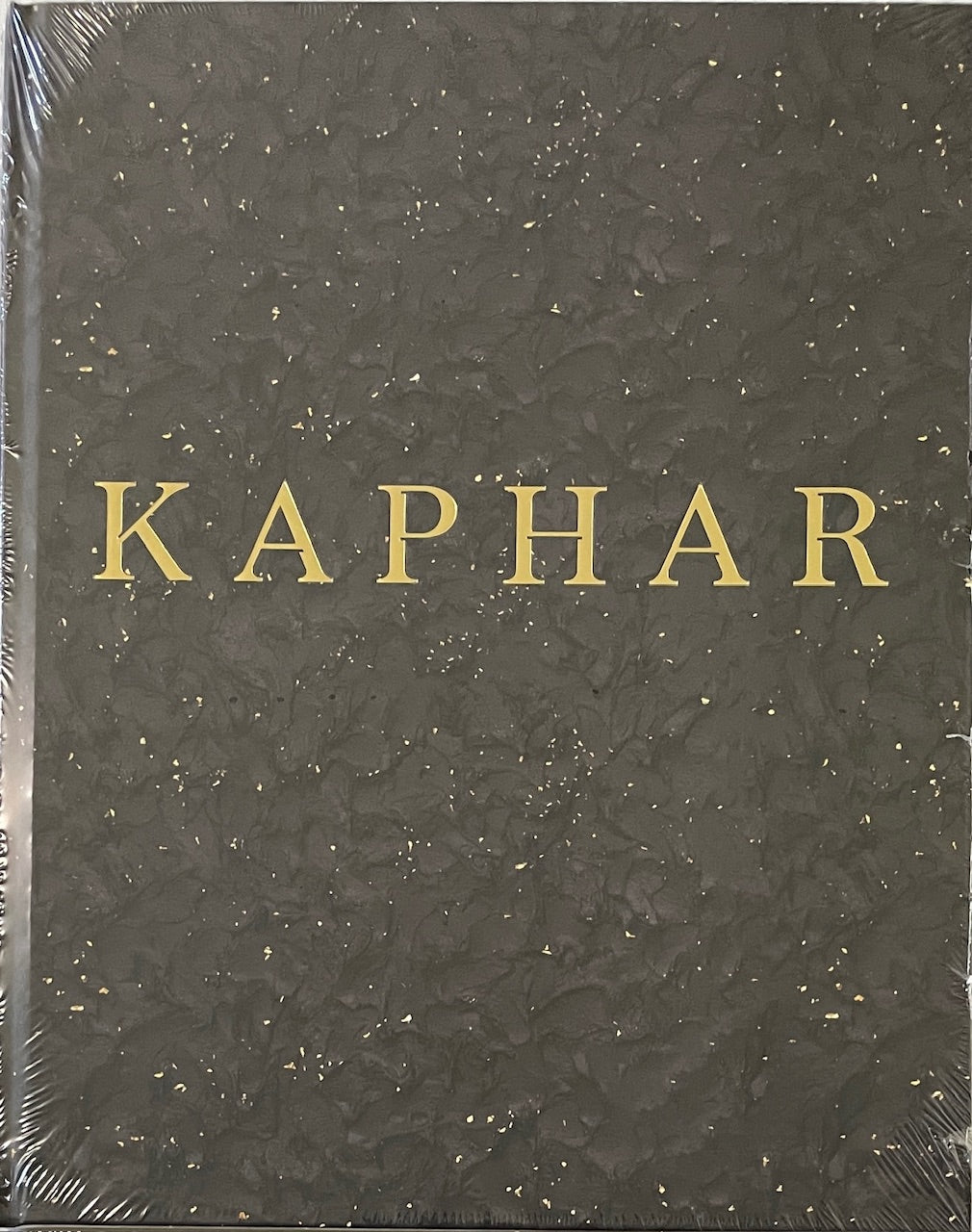 Titus Kaphar: Language of the Forgotten