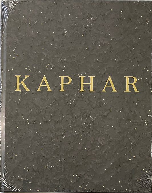 Titus Kaphar: Language of the Forgotten