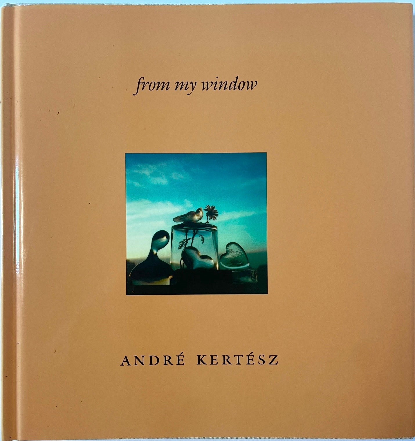 Andre Kertesz: From my Window [artist's copy]