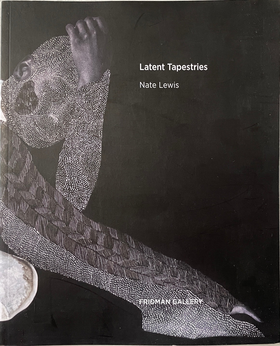 Nate Lewis: Latent Tapestries