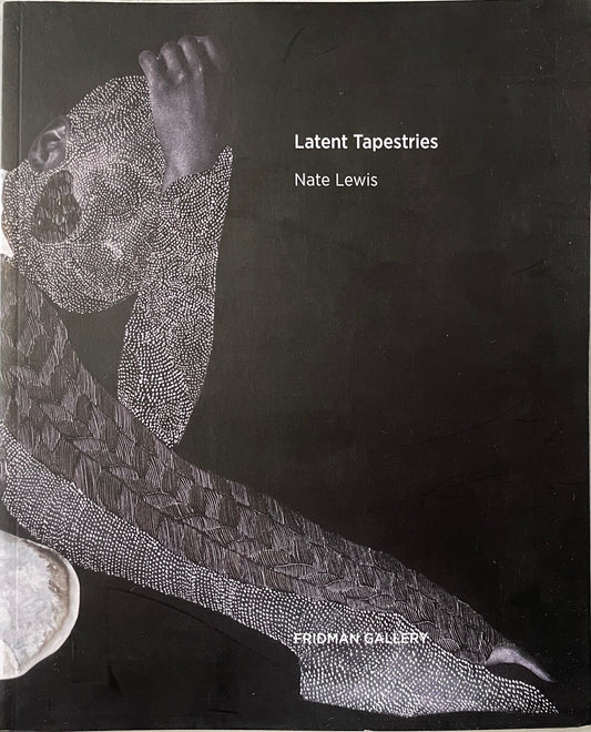 Nate Lewis: Latent Tapestries