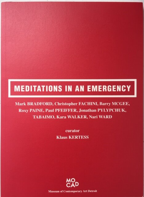 Meditations in an Emergency
