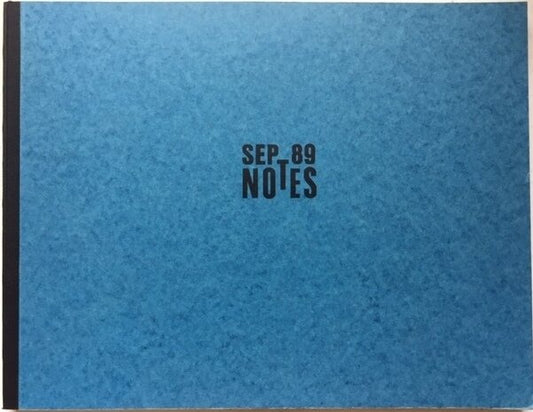 Thomas Schutte: Notes