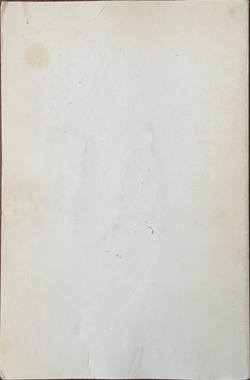The Vermont Notebook [signed association copy] by John Ashbery & Joe Braniard