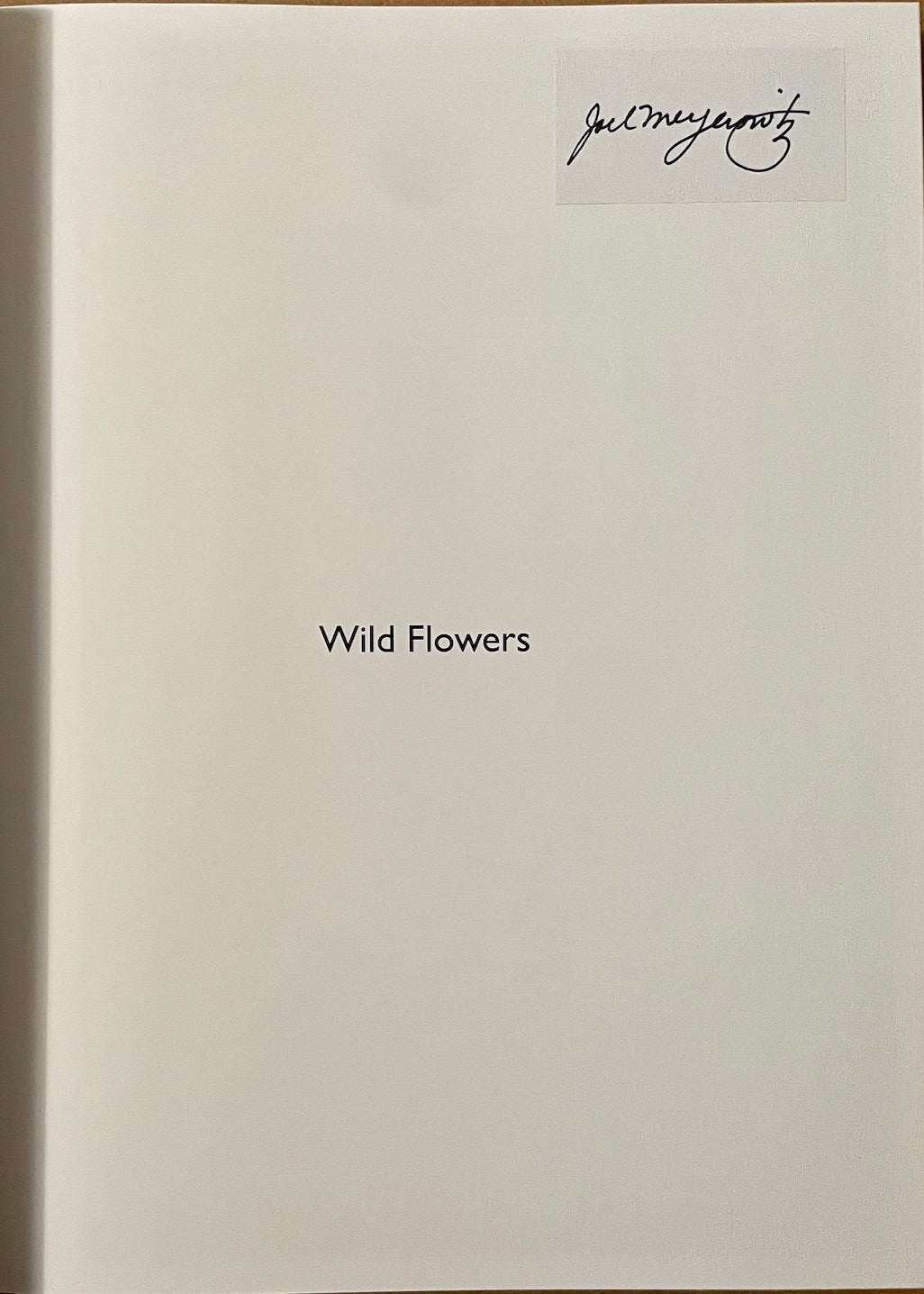 Joel Meyerowitz: Wild Flowers [signed]