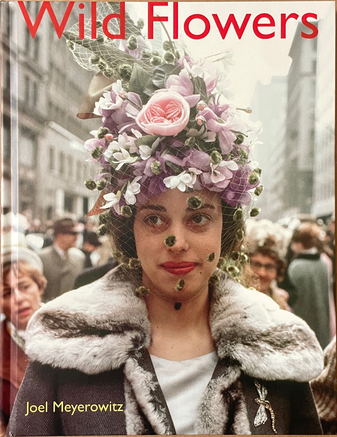Joel Meyerowitz: Wild Flowers [signed]